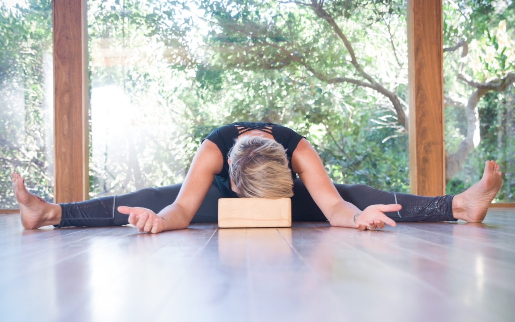 Luminous Lotus Banner 8