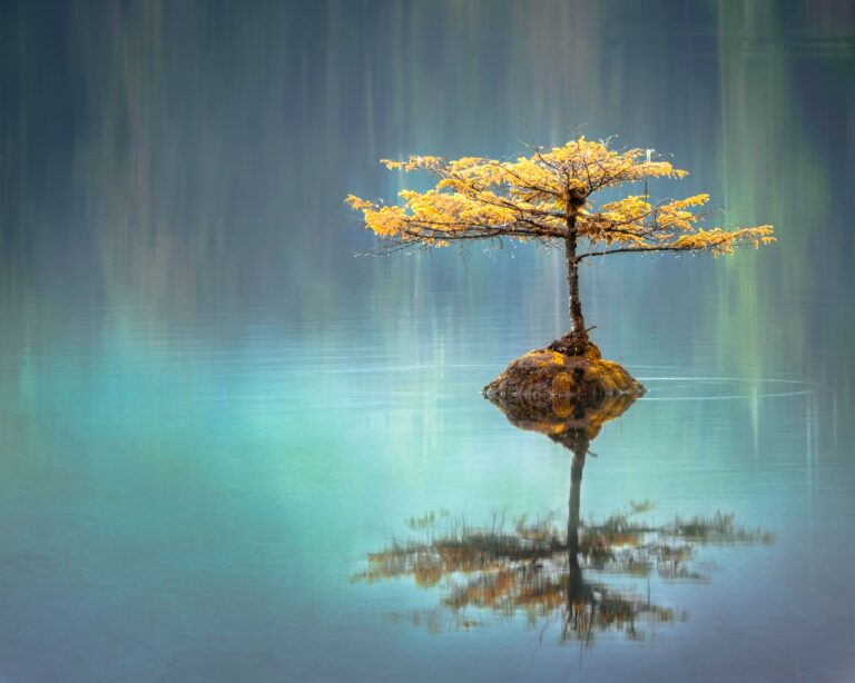 Read more about the article Resilience