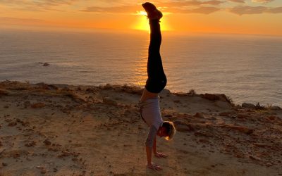 Luminous Lotus Banner 4