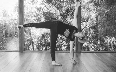 Luminous Lotus Banner 7