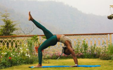 Luminous Lotus Banner 4